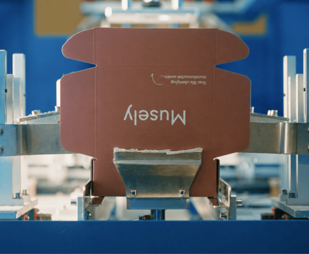 Musely Raises $360M from General Catalyst Without Equity Dilution