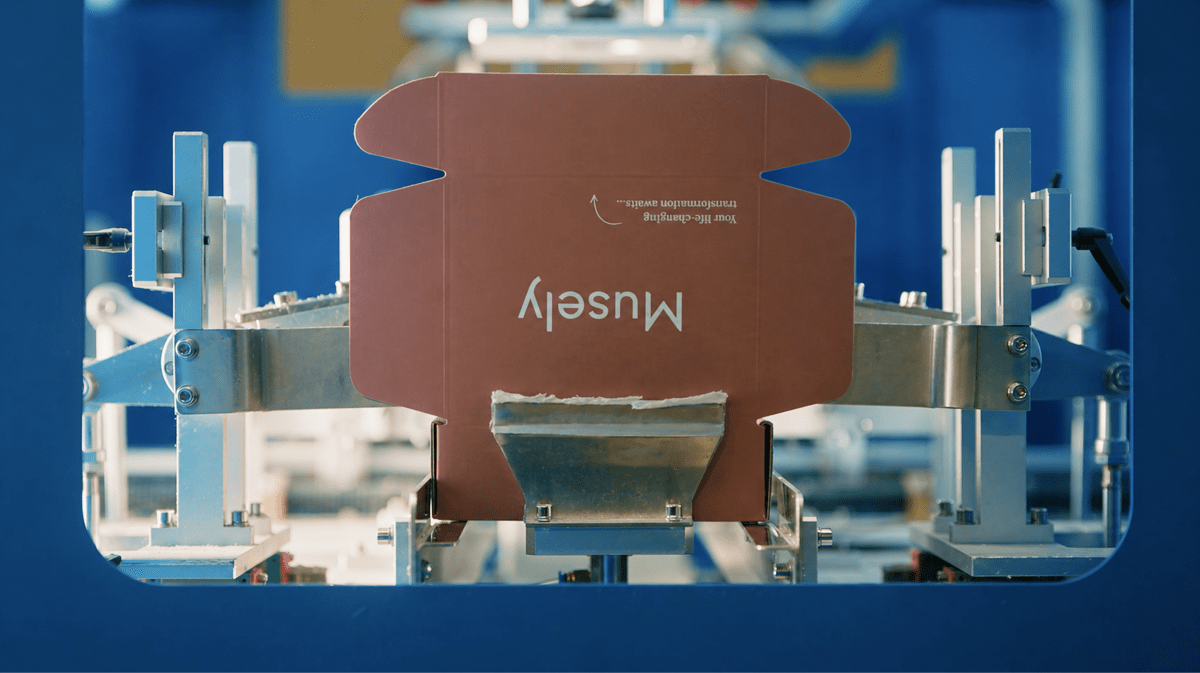 Musely Raises $360M from General Catalyst Without Equity Dilution