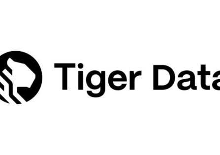 Open Source Sustainability - Daily Software Engineering