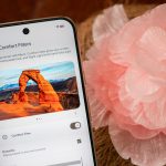 "Pixel Display Function Improves User Experience by Imitating Spring's Uplifting Attributes"