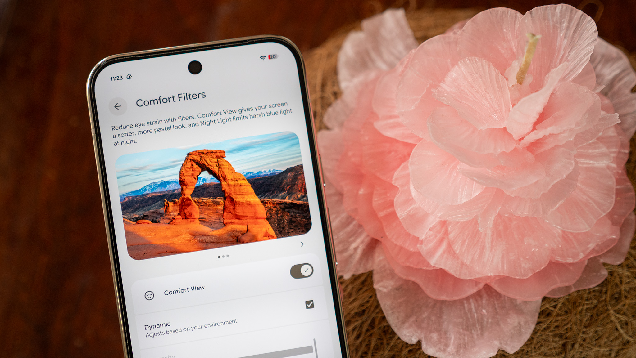 "Pixel Display Function Improves User Experience by Imitating Spring's Uplifting Attributes"