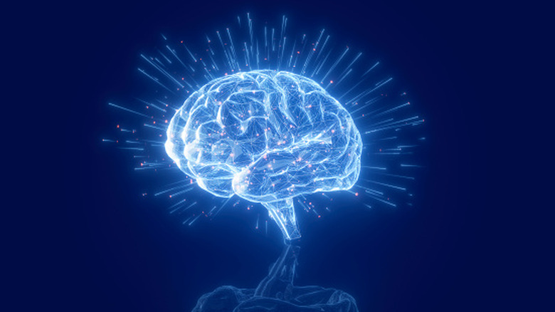 Recent Research Indicates the Existence of AI-Driven Psychosis