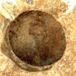 Scientists Suggest Novel Method for Detecting Alien Life