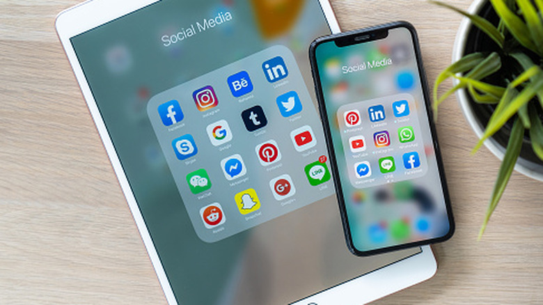 Seven Distinct Characteristics of the iPad in Contrast to the iPhone