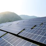 Solar Farms Confused with Lakes by Birds, Disturbing Migration Patterns