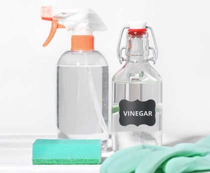 Steer Clear of This Typical Home Cleaning Product for Your TV Screen