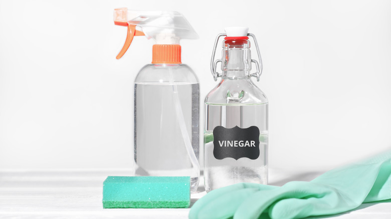 Steer Clear of This Typical Home Cleaning Product for Your TV Screen