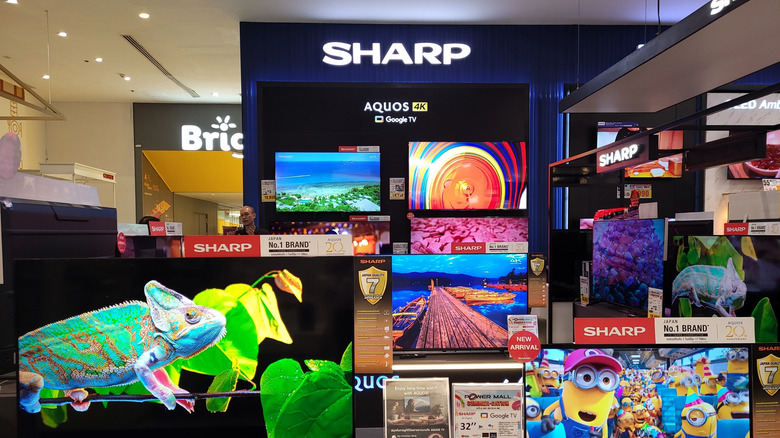 The Diminution and Present Condition of Sharp TVs