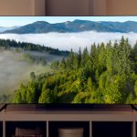 The Diminution of Additional Buttons on Contemporary Televisions: A Study