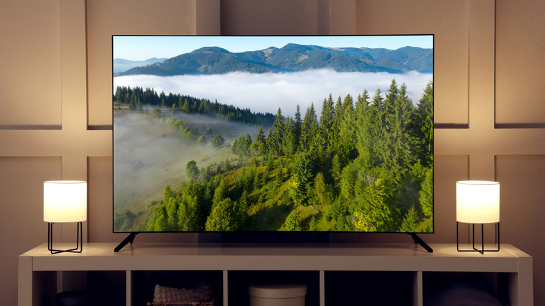 The Diminution of Additional Buttons on Contemporary Televisions: A Study