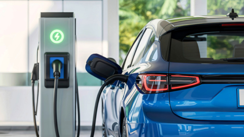 The Effect of a Shared Vehicle Ornament on Electric Vehicle Battery Range