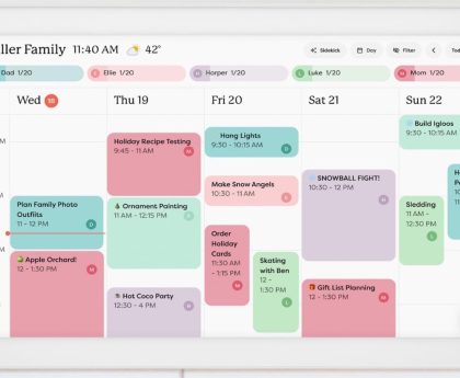 Top 10 Substitutes for the Skylight Calendar
