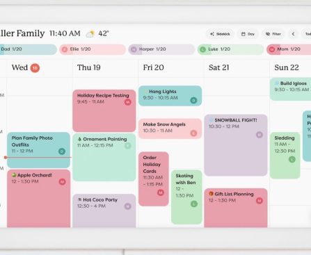 Top 10 Substitutes for the Skylight Calendar