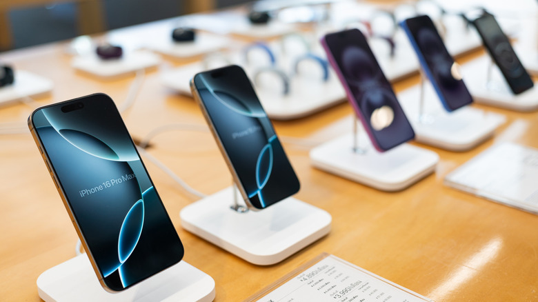 Top 11 Pre-Owned iPhones to Consider Purchasing in 2026