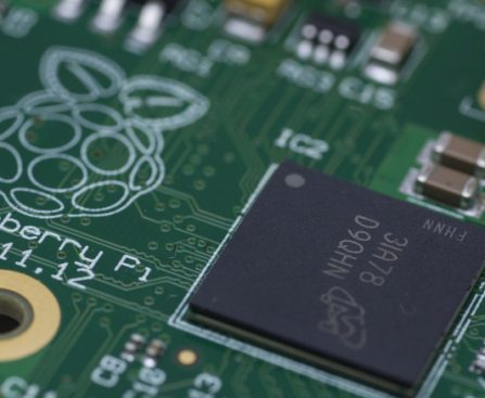 User Perspectives on the Durability of Raspberry Pis