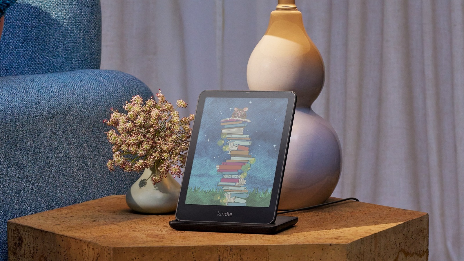 Variations of the Kindle Colorsoft Signature Edition Clarified